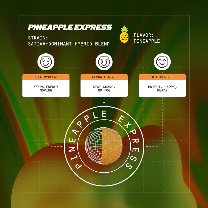 pineapple express fast-acting 15mg thc gummies uk, buy thc gummies uk, pineapple express thc gummies, fast acting thc gummies, 15mg thc gummies, premium thc edibles, thc gummies online uk, pineapple express gummies, cannabis gummies uk, thc sweets uk, vegan thc gummies, strong thc gummies, fast onset thc gummies, sativa thc gummies, cannabis edibles uk, premium cannabis gummies, pineapple express edibles, high potency thc gummies, discreet thc edibles, daytime thc gummies, uplifting thc gummies, thc gummies for creativity, thc gummies for energy, fast absorbing thc gummies, cannabis sweets uk, thc infused gummies, premium weed gummies, buy cannabis gummies, legal thc gummies uk, thc edible candy, nano thc gummies, thc gummy product, pineapple express strain gummies, potent thc gummies, cannabis gummy edibles, thc gummy packaging, fruity thc gummies, tropical thc gummies, thc gummy shop, thc gummy treats, premium edible gummies, high strength thc gummies, thc gummies for experienced users, cannabis infused sweets, thc gummy flavour, thc gummy close up, thc edible branding, thc gummy container, pineapple cannabis edibles, thc gummies product shot, thc gummies isolated, thc gummies white background, edible cannabis gummies, thc gummy jar, thc gummy texture, cannabis candy gummies, thc gummies macro, pineapple flavour gummies, premium thc candy, thc gummies ecommerce, thc gummies lifestyle, thc gummies photography, thc gummy marketing, thc gummies commercial, cannabis gummy sweets, thc gummies banner image, thc gummies product photography, buy premium thc gummies, best thc gummies uk, tropical cannabis gummies, fast acting weed gummies, thc gummies for sale uk